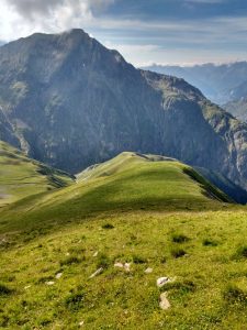 Grassy ridge