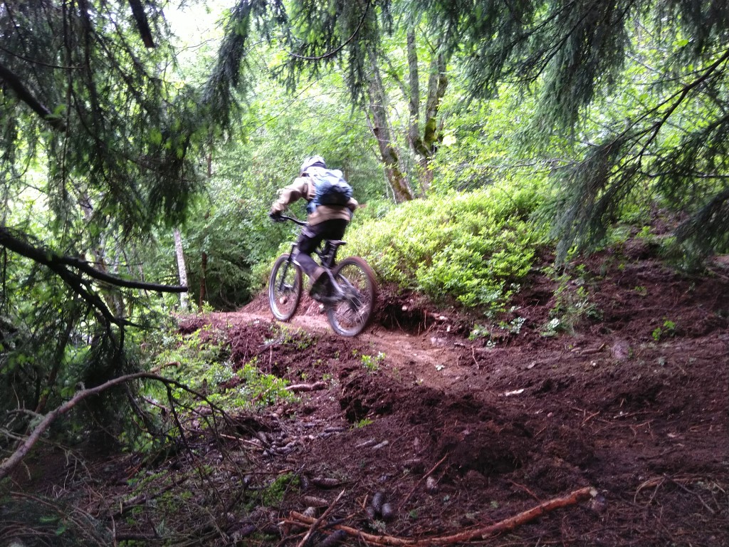 Mountain biker in forest